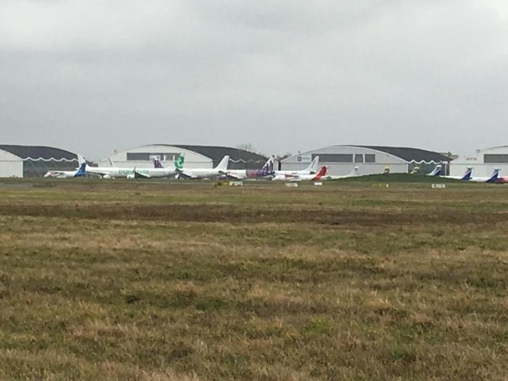 PHOTO-2019-02-02-12-53-16